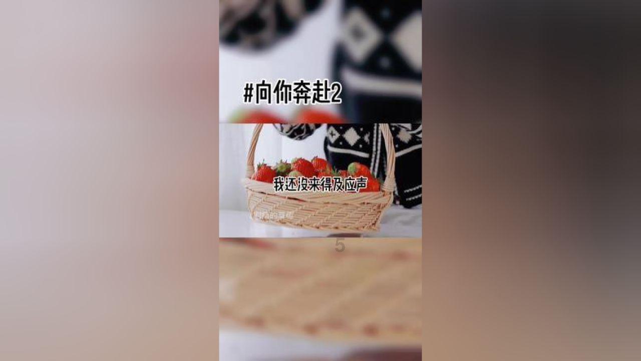 引球进框选关版