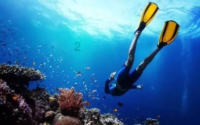 通读多遍西游记，终于明白三打白骨精时，为什么没人相信孙悟空？