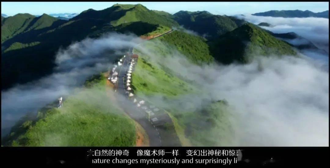 汽车发动机噪音大怎么办？游戏画面